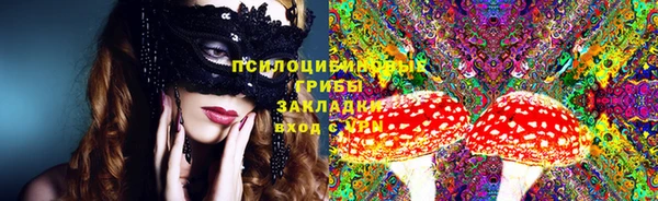 крисы Беломорск